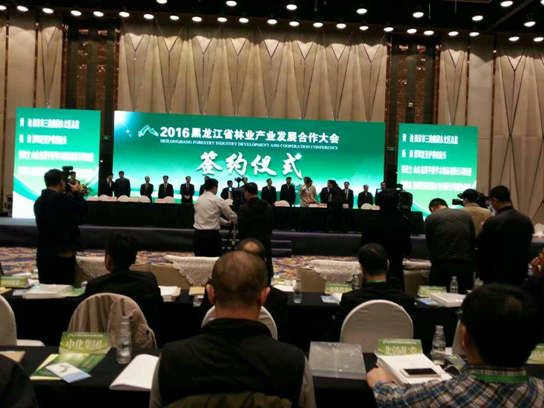 仟億達(dá)831999碳交易業(yè)界影響力較強(qiáng)，副總田衛(wèi)然接受黑龍江廣播電視臺(tái)采訪