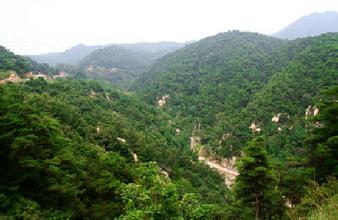 仟億達集團(證券代碼:831999)與河南省信陽市種植合作社就碳資產(chǎn)管理與交易簽約合作 仟億達集團(證券代碼:831999)與河南省信陽市種植合作社就碳資產(chǎn)管理與交易簽約合作